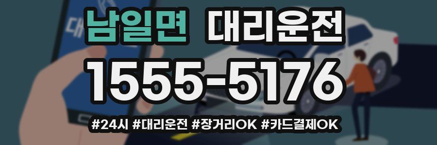 남일면 대리운전