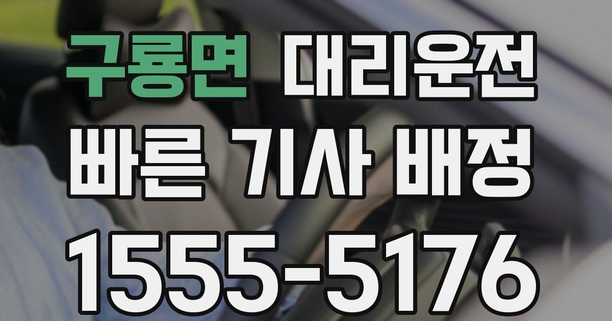 일일대리기사