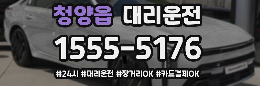 청양읍 대리운전