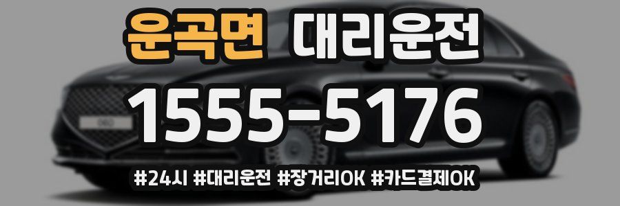 운곡면 대리운전
