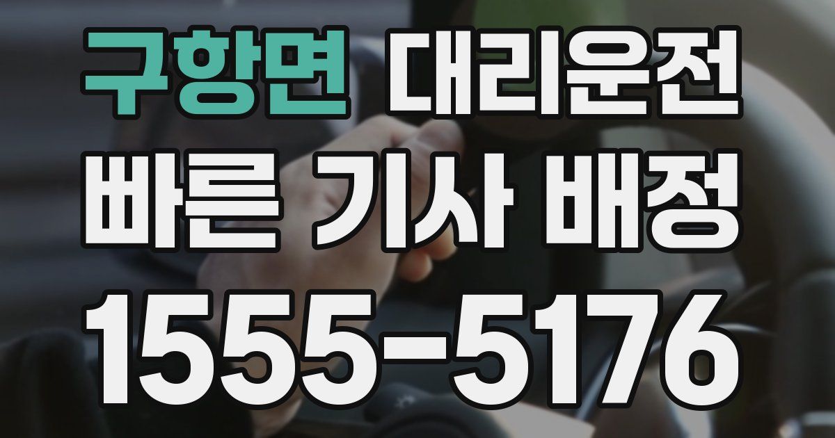 일일대리기사
