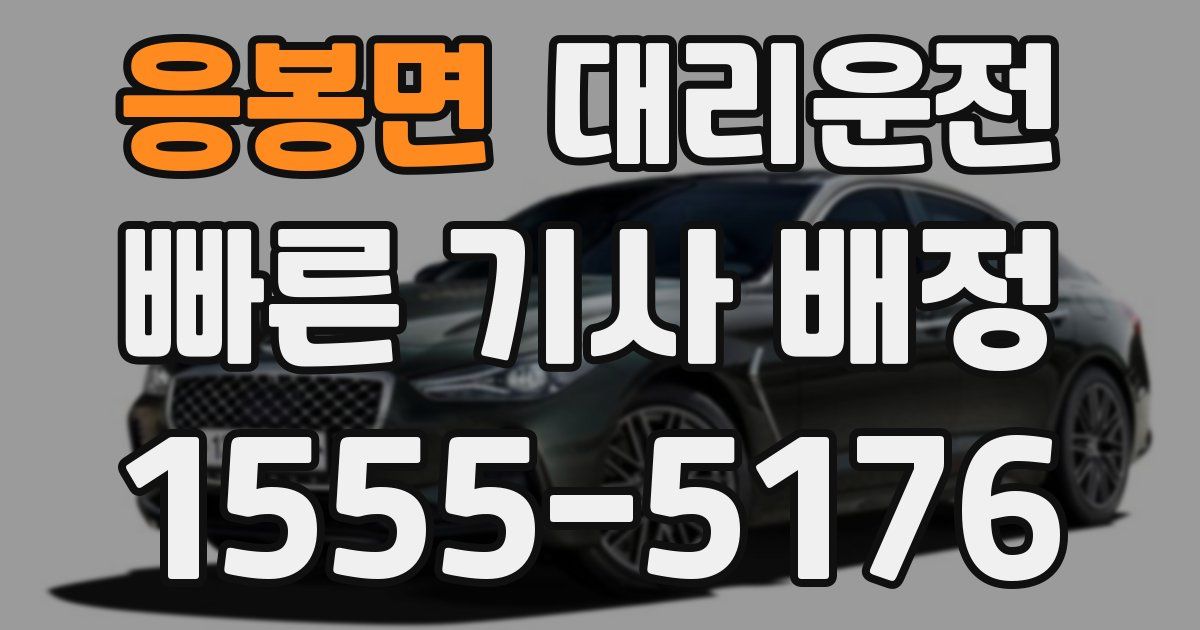 일일대리기사