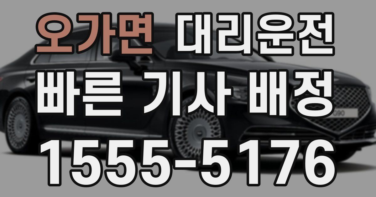일일대리기사