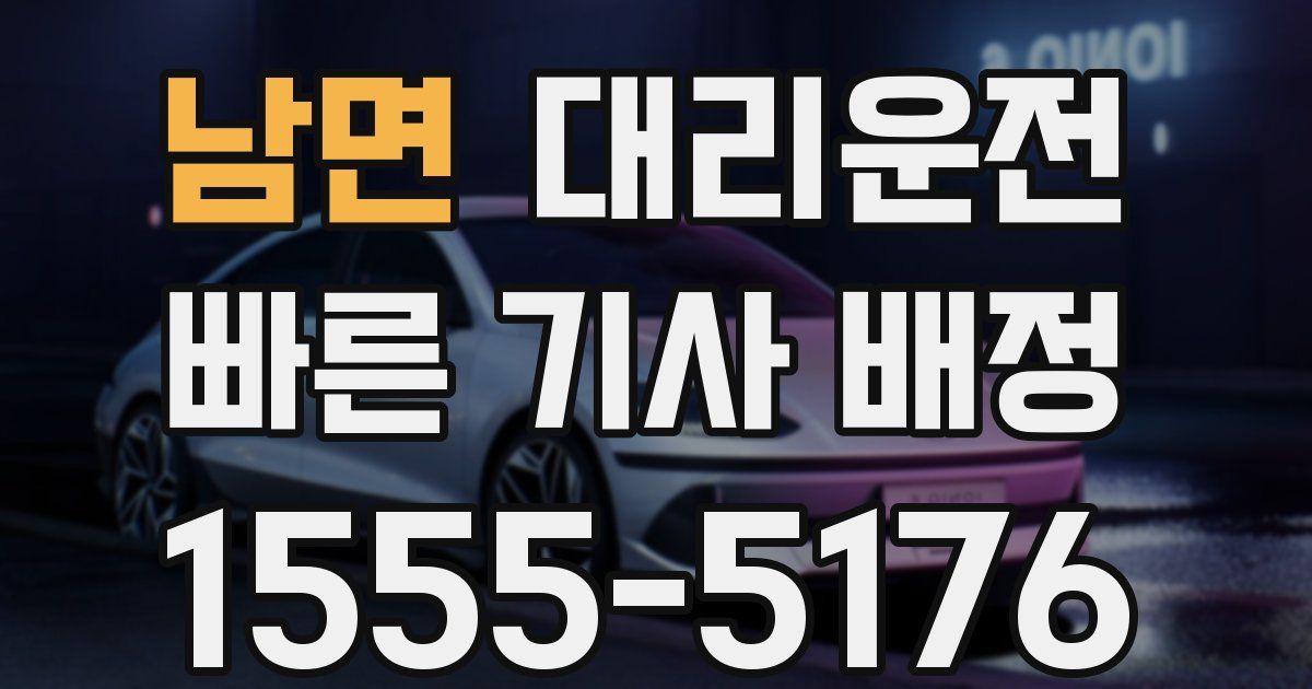 일일대리기사
