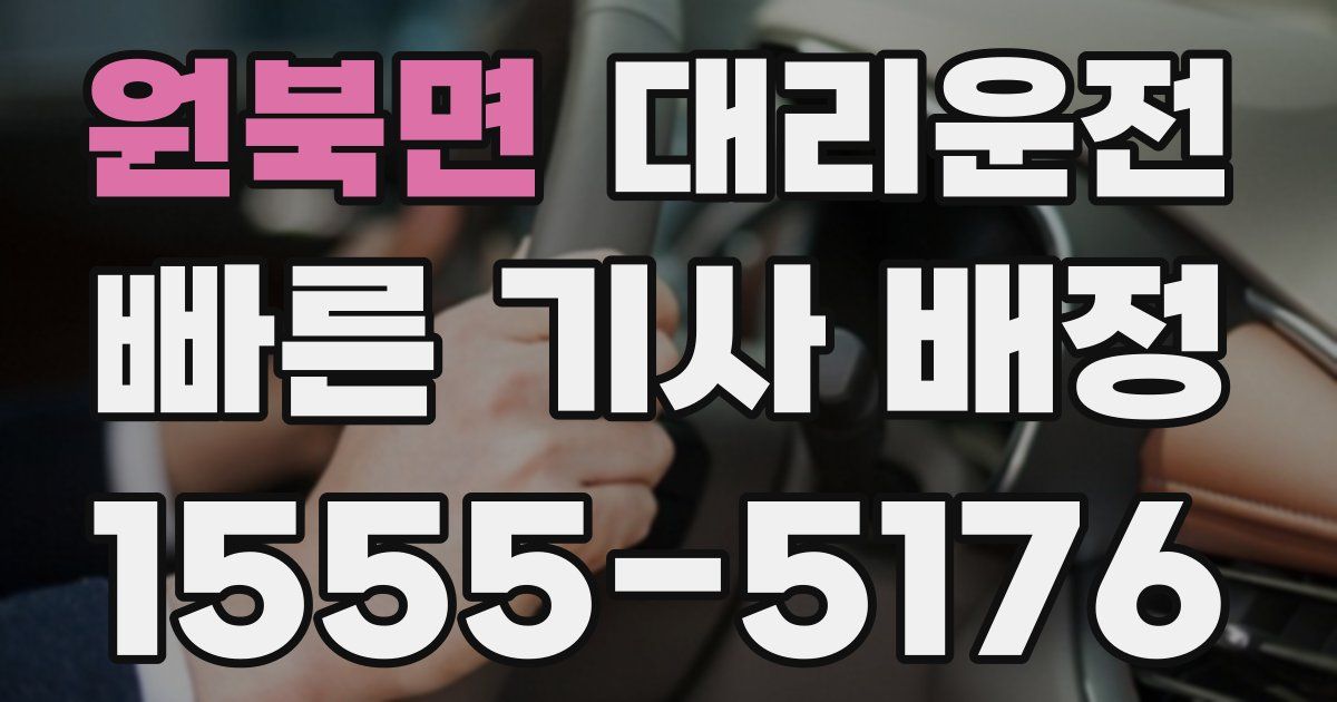 일일대리기사
