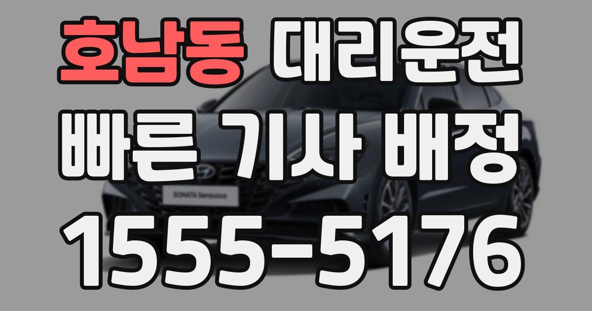 일일대리기사