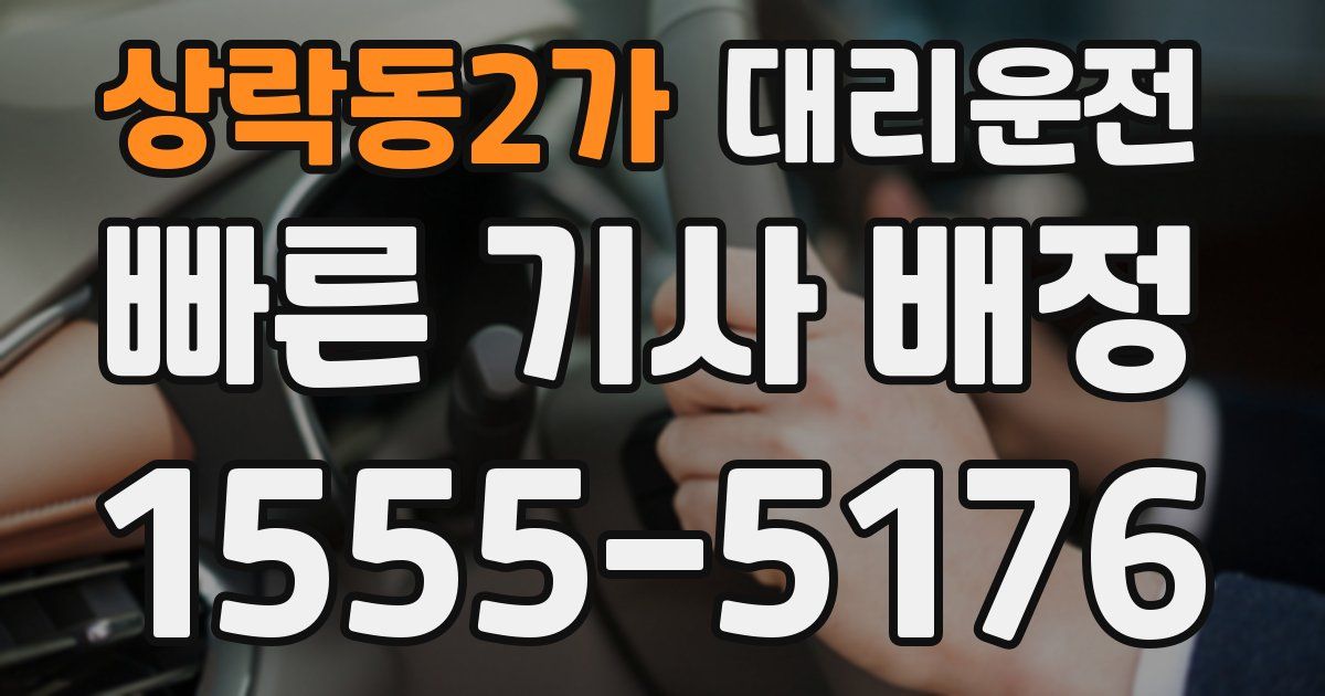 일일대리기사