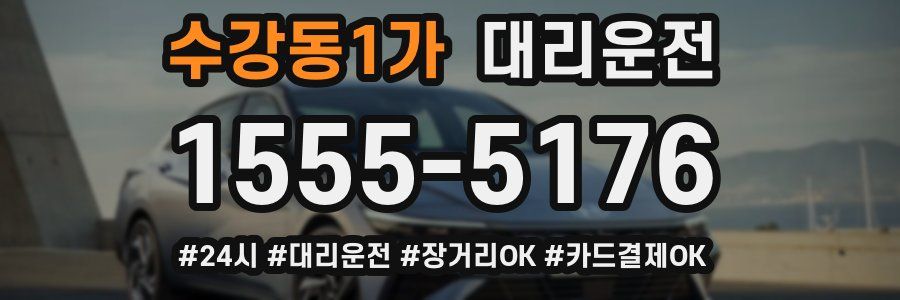 수강동1가 대리운전
