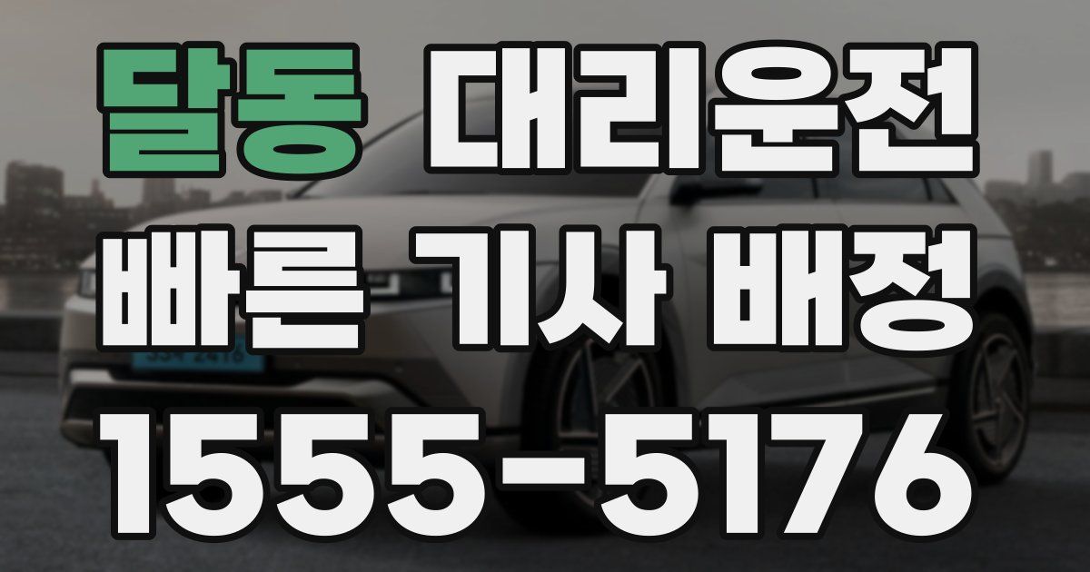 일일대리기사
