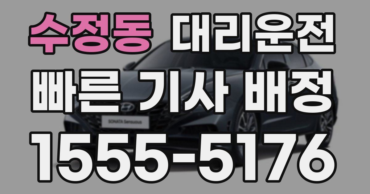 일일대리기사