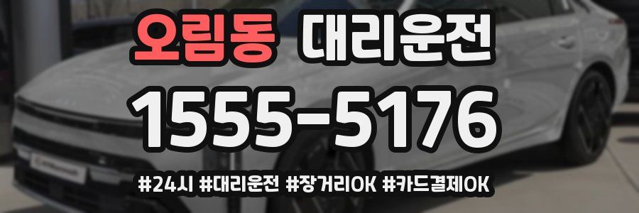 오림동 대리운전