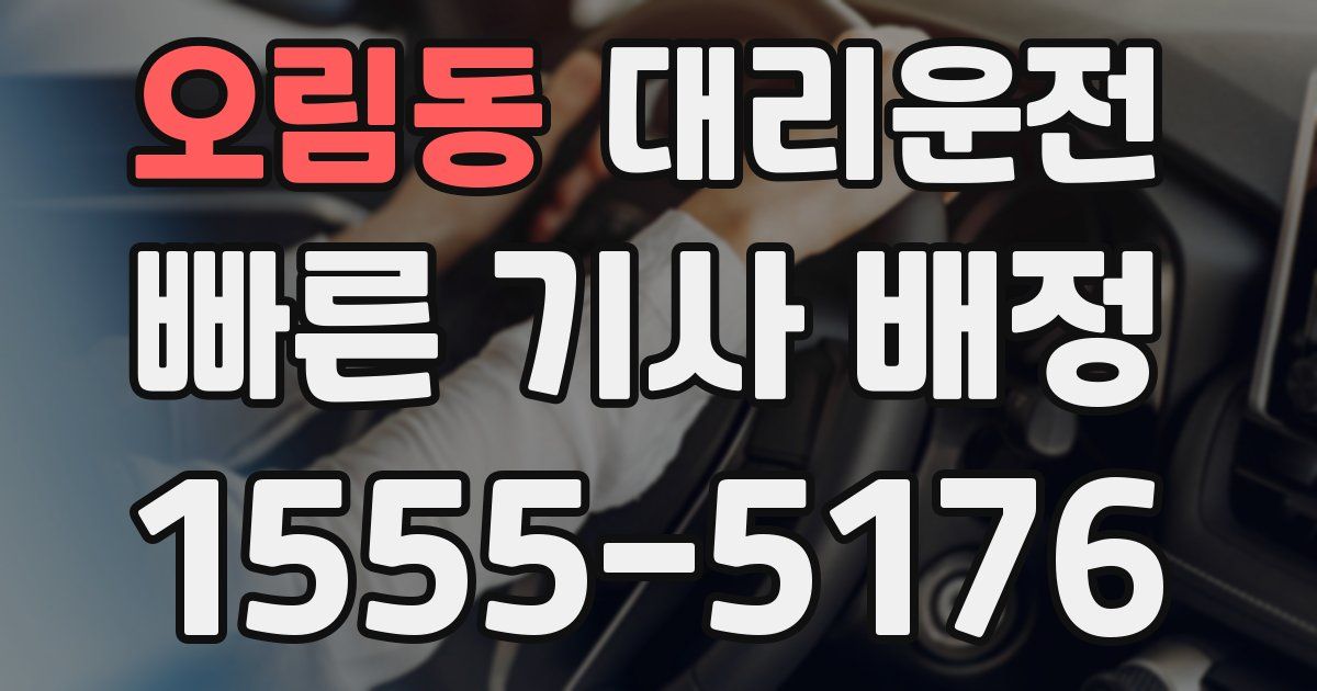 일일대리기사