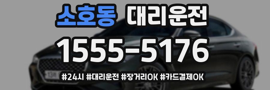 소호동 대리운전