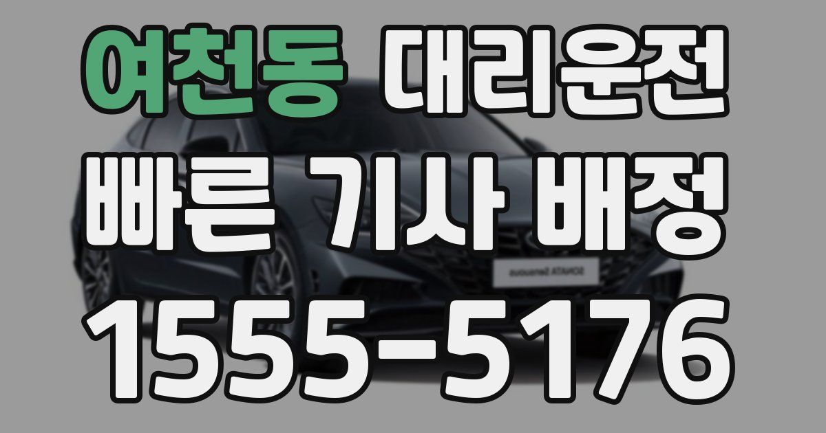 일일대리기사