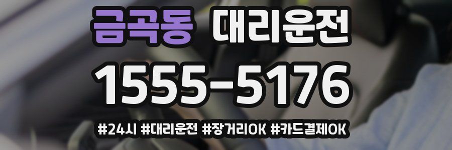 금곡동 대리운전