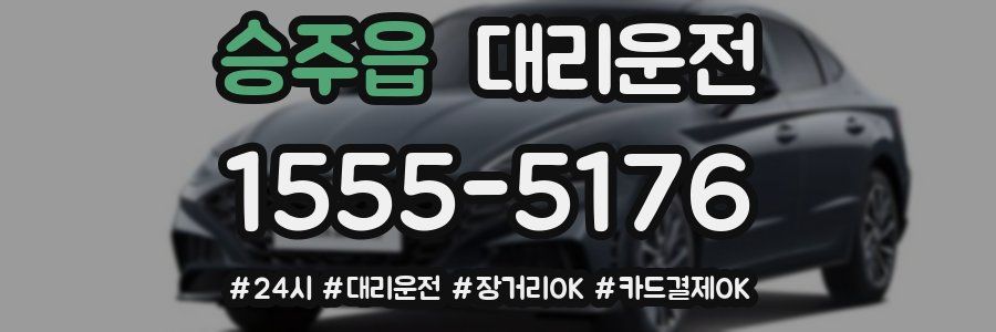 승주읍 대리운전