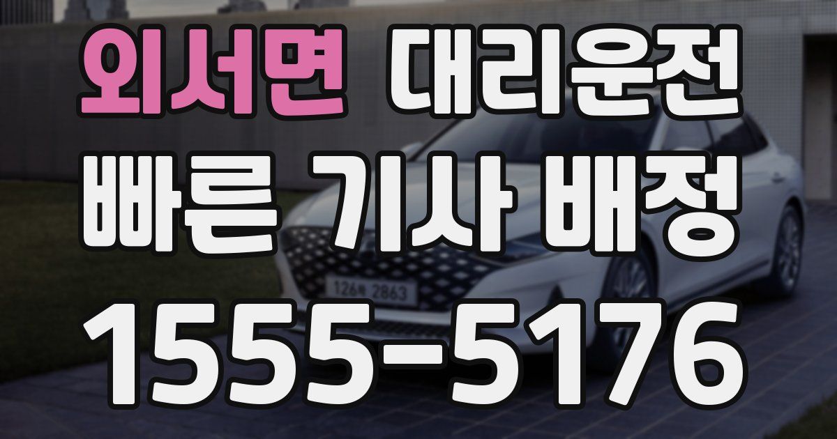 일일대리기사