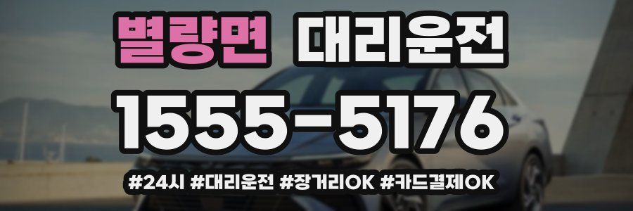 별량면 대리운전