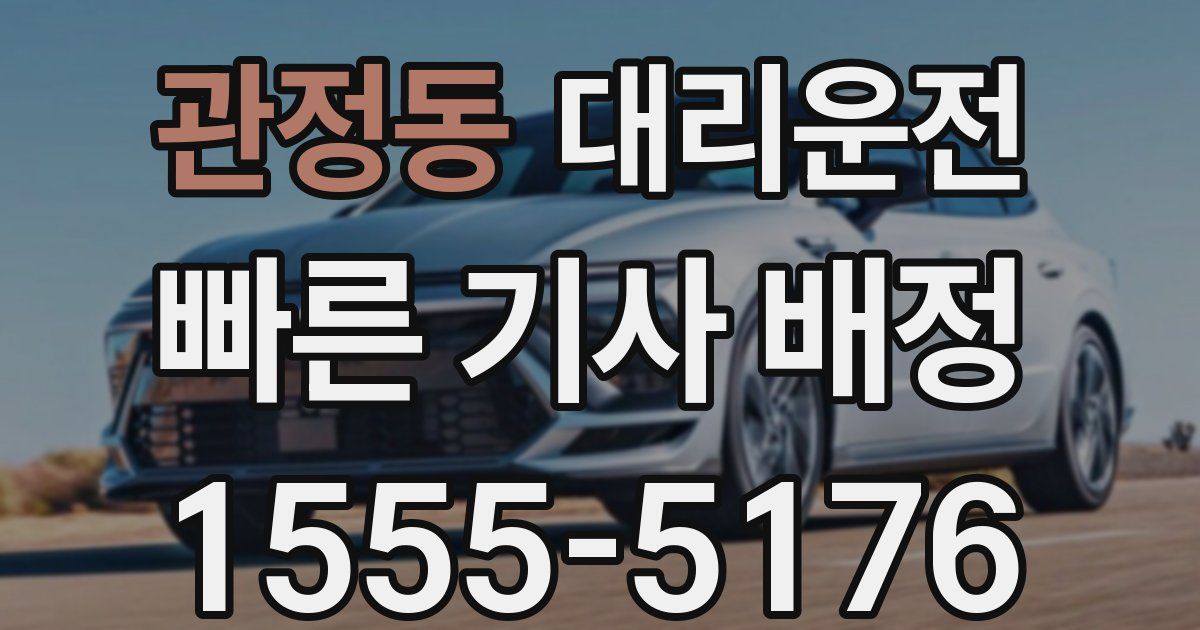 일일대리기사
