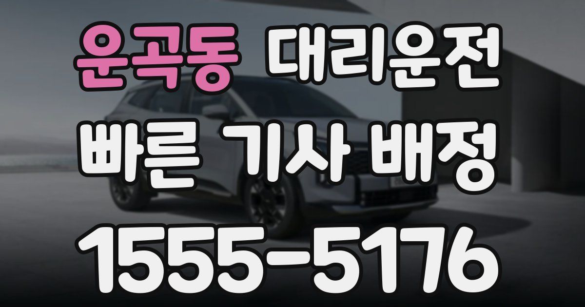 일일대리기사