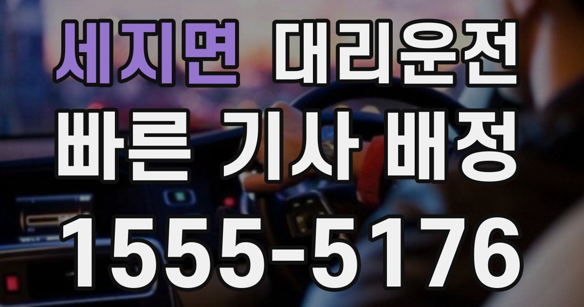 일일대리기사