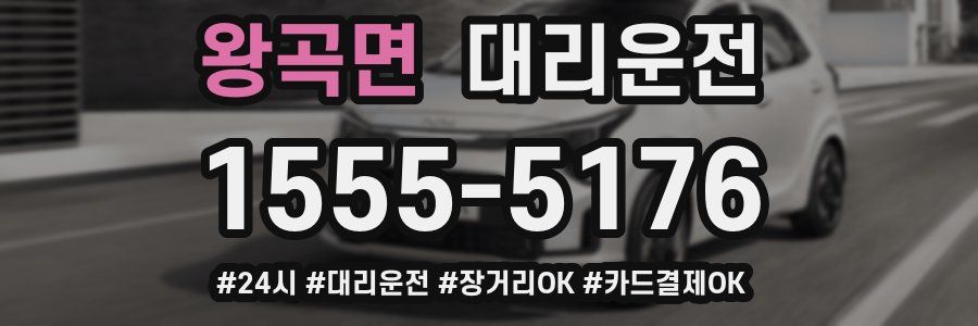 왕곡면 대리운전
