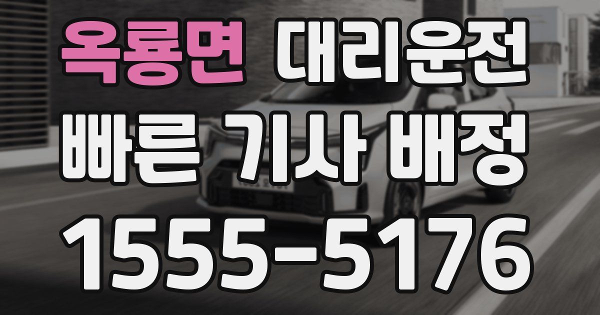 일일대리기사