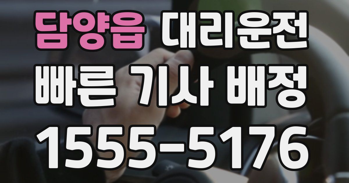 일일대리기사