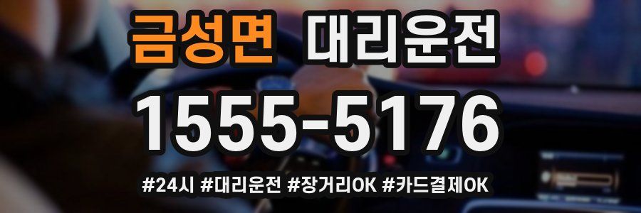 금성면 대리운전