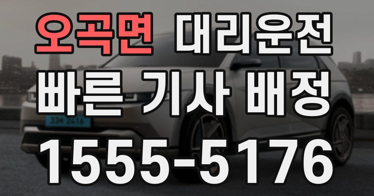 일일대리기사