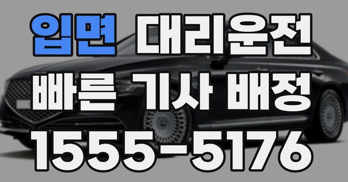 일일대리기사