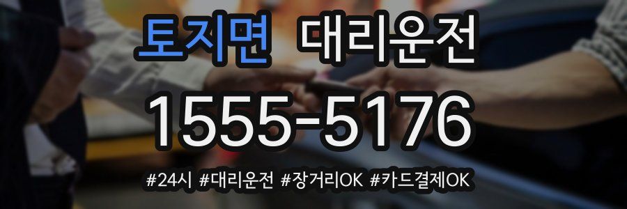 토지면 대리운전
