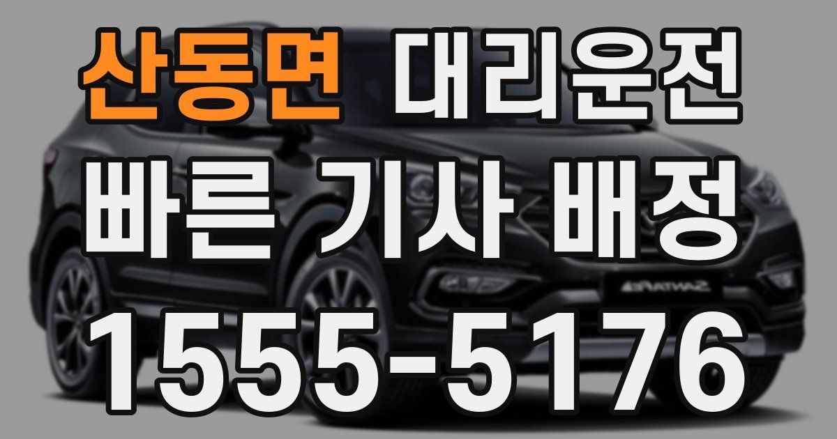일일대리기사