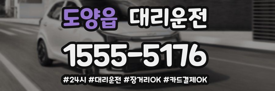 도양읍 대리운전