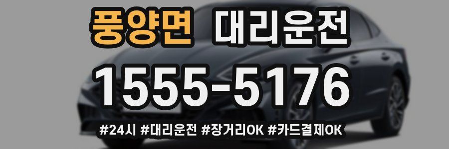 풍양면 대리운전