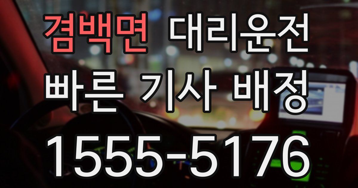 일일대리기사