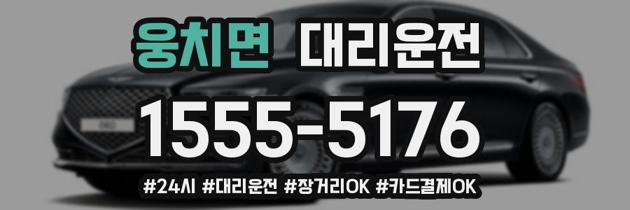 웅치면 대리운전