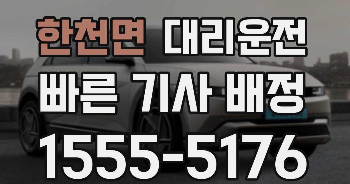 일일대리기사