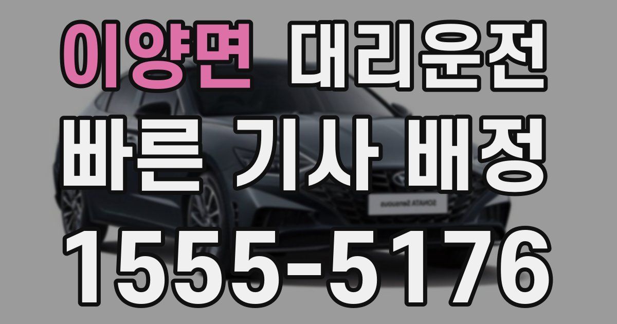 일일대리기사