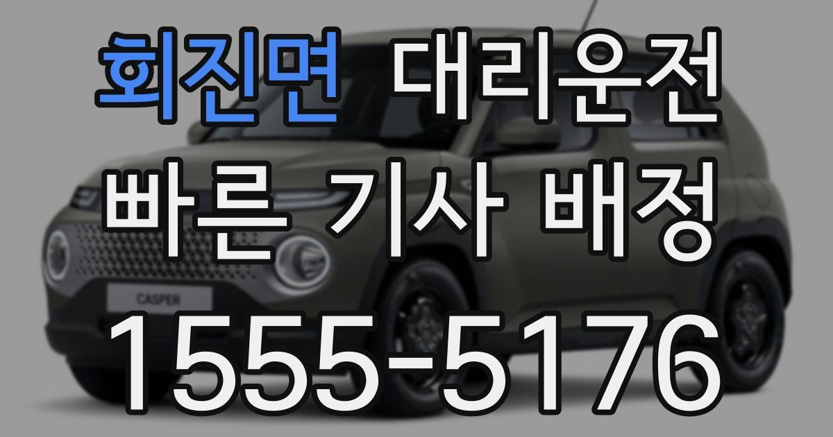 일일대리기사