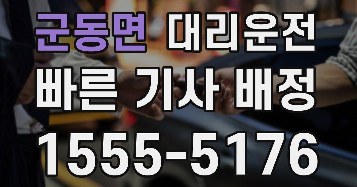 일일대리기사