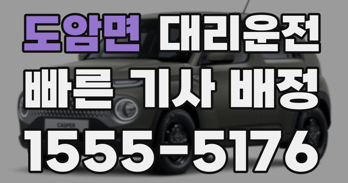 일일대리기사