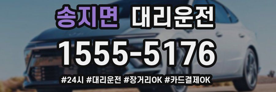 송지면 대리운전