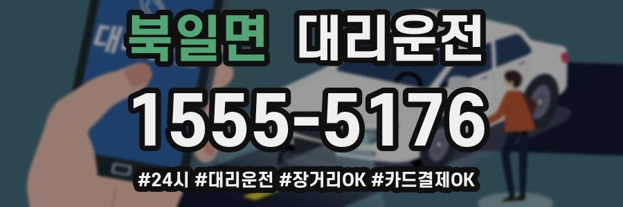 북일면 대리운전