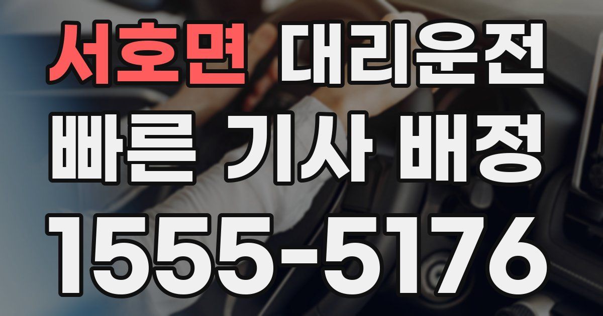 일일대리기사