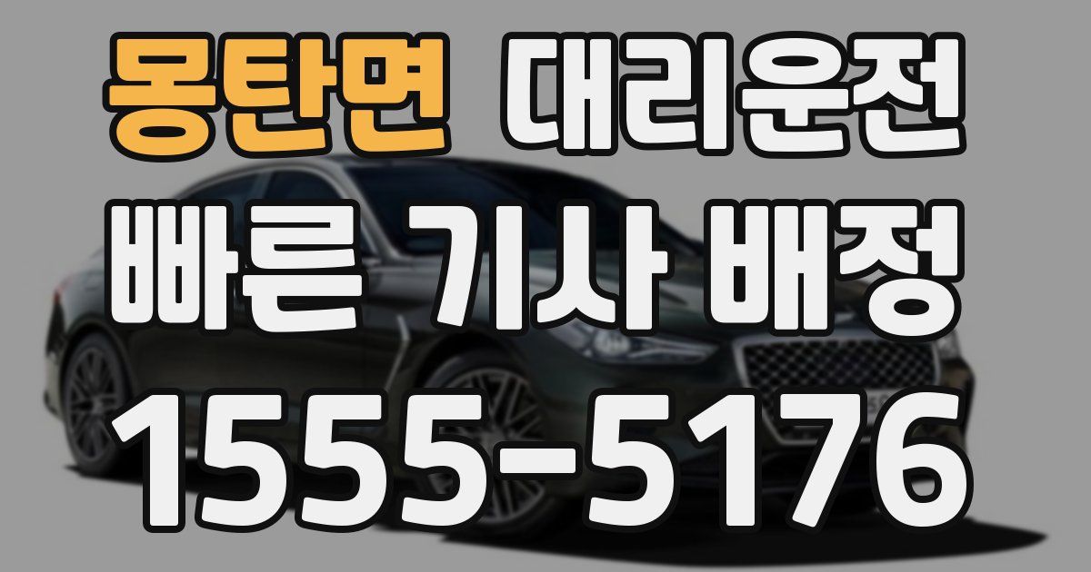 일일대리기사