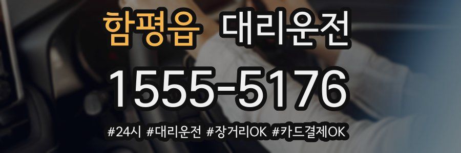 함평읍 대리운전
