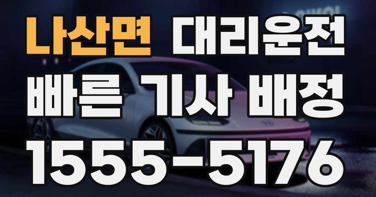일일대리기사