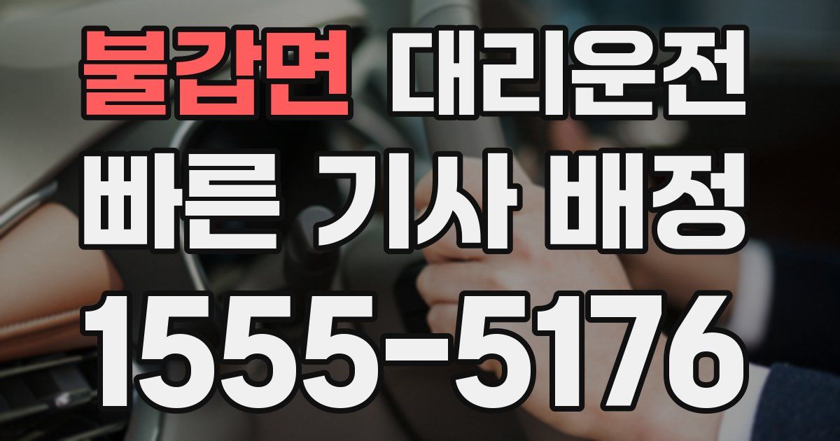 일일대리기사