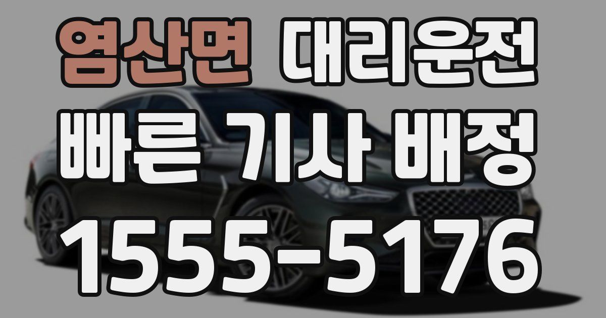일일대리기사